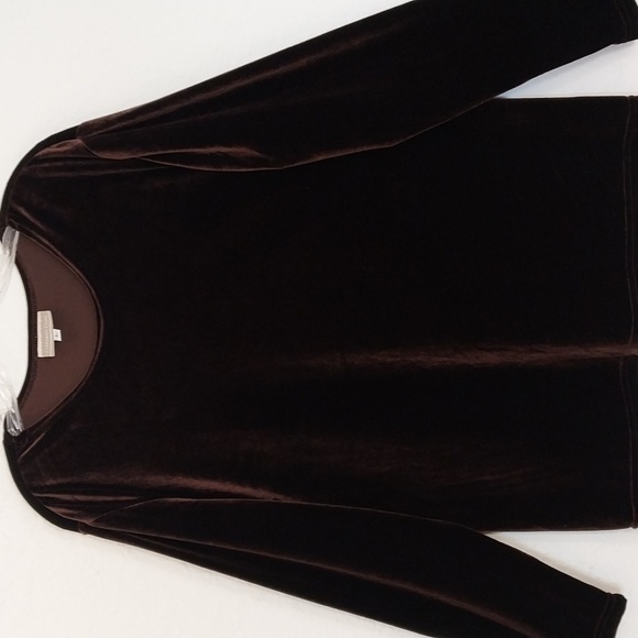 COLDWATER CREEK Brown Velvet Tunic Crew Neck Long Sleeve Top Size Large - Picture 2 of 16